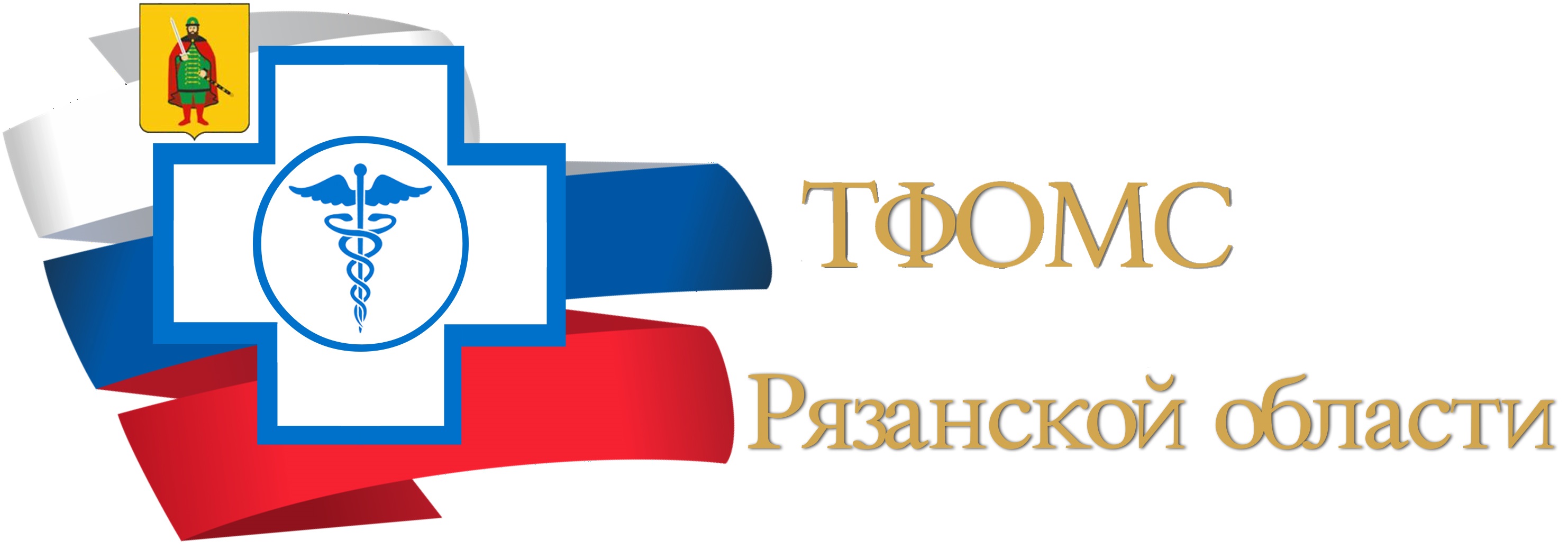 logo tfoms2